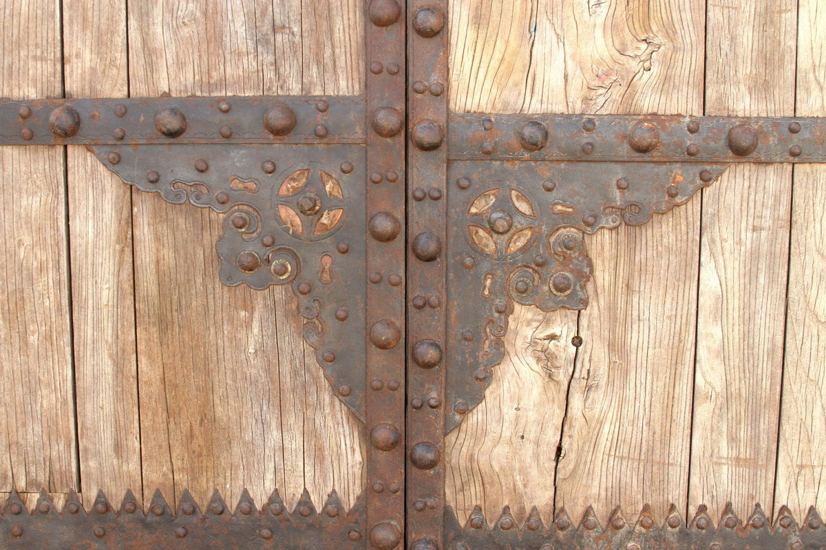 Grand Early 19th Century Asian Rustic Chateau Doors