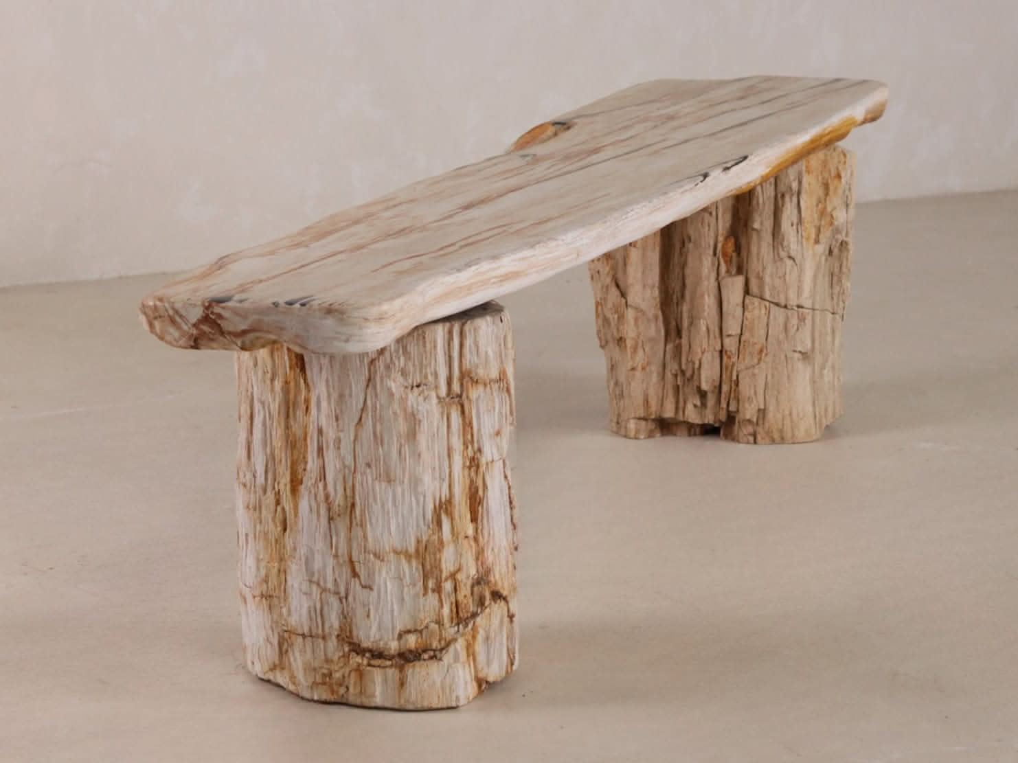 Petrified Wood Bench | One - of - a - kind - Cultheir