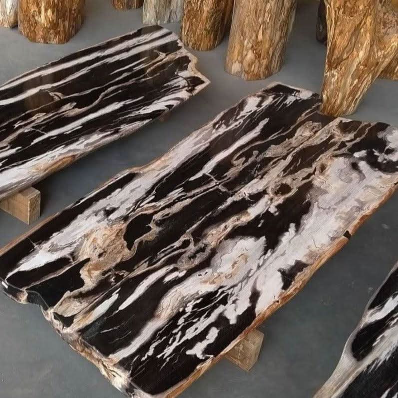Petrified Wood &amp; Onyx Table - Cultheir